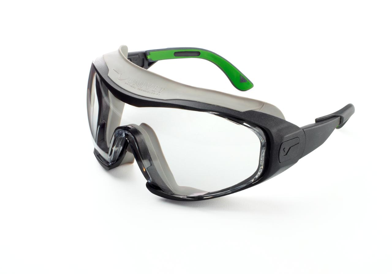 Goggle UNIVET 6X1